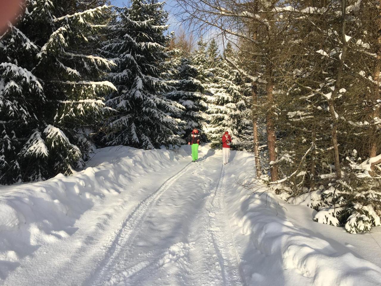 Chalet Rackova Dolina プリビリナ エクステリア 写真