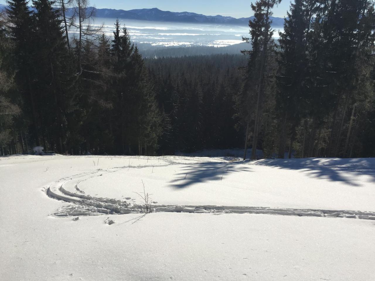 Chalet Rackova Dolina プリビリナ エクステリア 写真