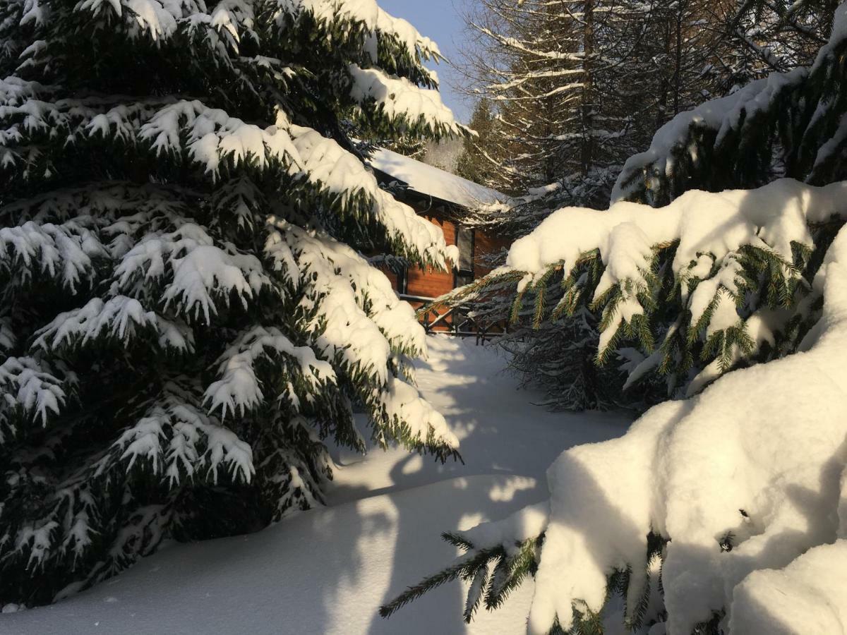 Chalet Rackova Dolina プリビリナ エクステリア 写真